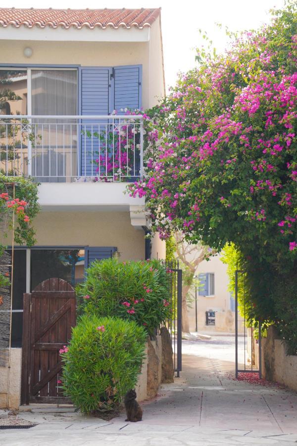 Rachel Suite By The Pool Paphos 外观 照片